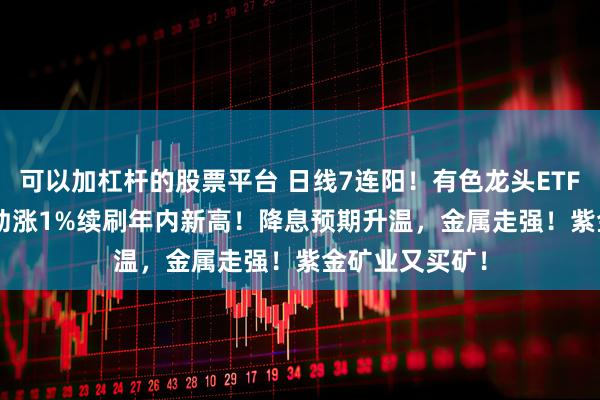 可以加杠杆的股票平台 日线7连阳！有色龙头ETF（159876）劲涨1%续刷年内新高！降息预期升温，金属走强！紫金矿业又买矿！