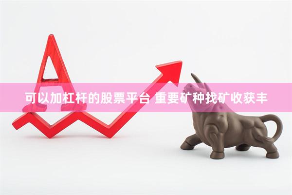 可以加杠杆的股票平台 重要矿种找矿收获丰